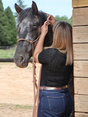 Charlotte en échange silencieux avec un cheval lors d'une séance de communication animale, équicoaching, médiation équine